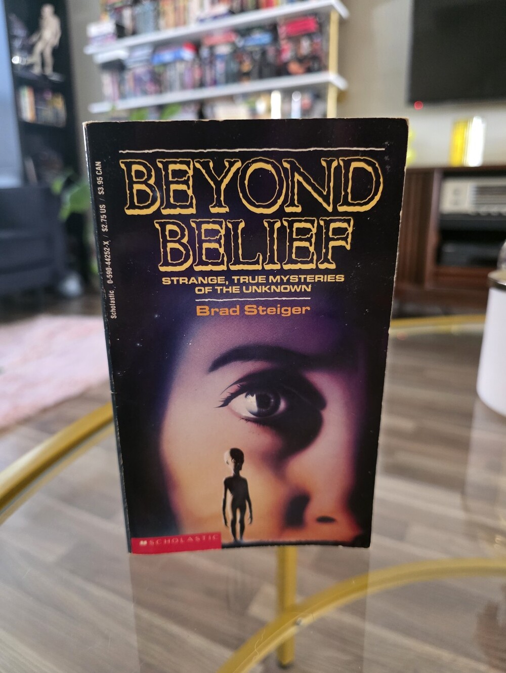 Beyond Belief - Paperback